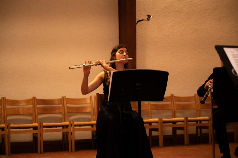 Ticino Musica © Andrey aK