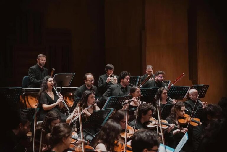Orchestra Leonore © Camilla Petriarelli